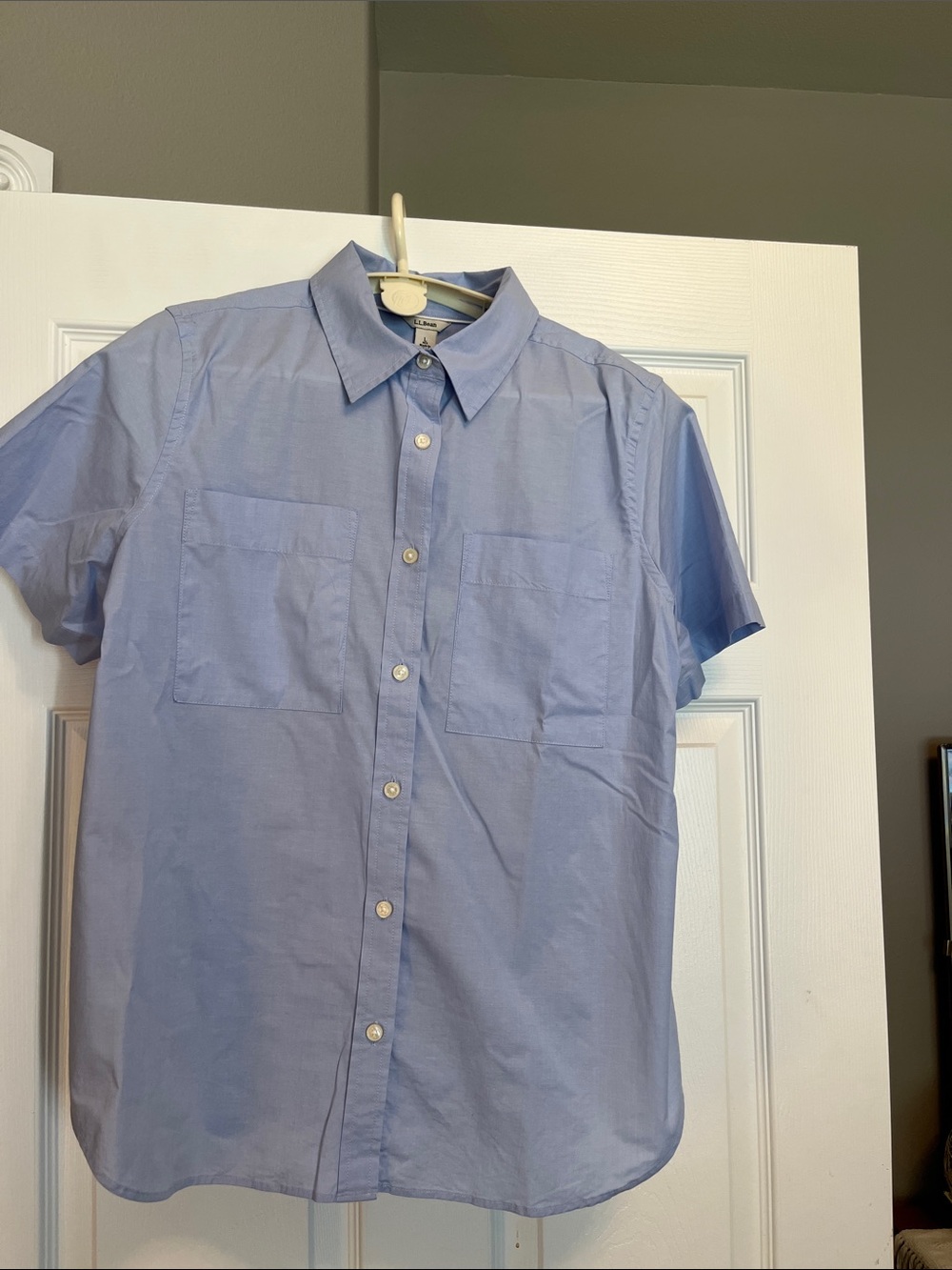 L.L. Bean Light Blue Short Sleeve Button-Down Shirt